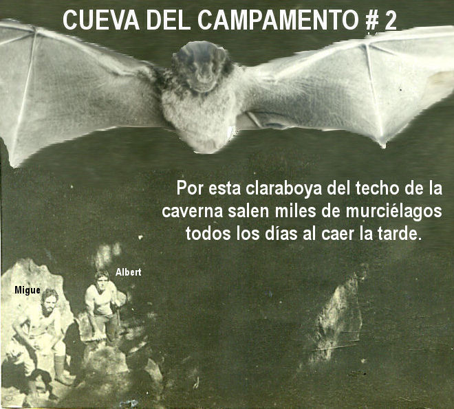 tt-cuevadelcampamento-migue-alberto-1985.jpg
